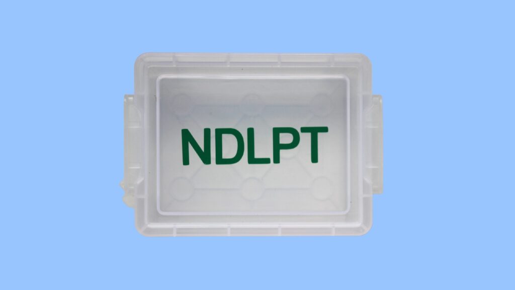 NDLPT Trinket Box- NDLPT/ green