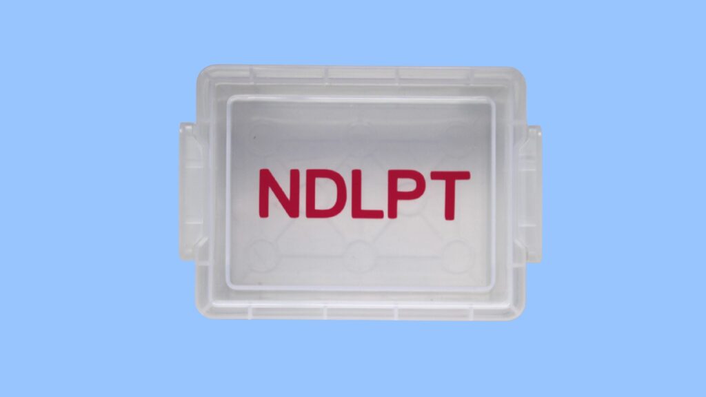 NDLPT Trinket Box- NDLPT/ pink