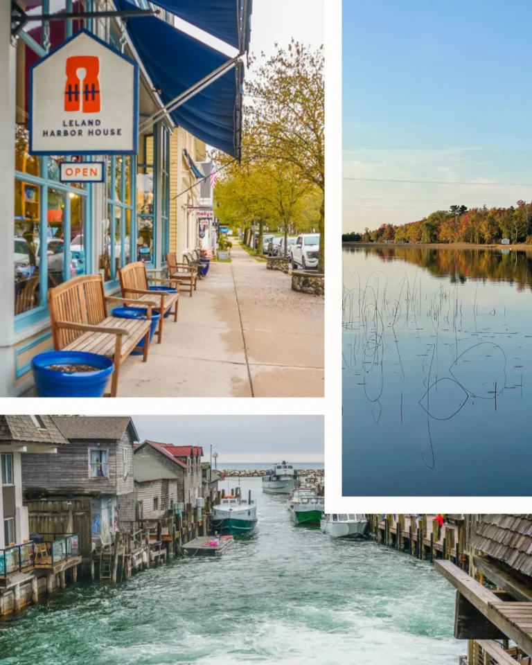 Instagram post from upnorthneedlepoint. This post is in position 2.