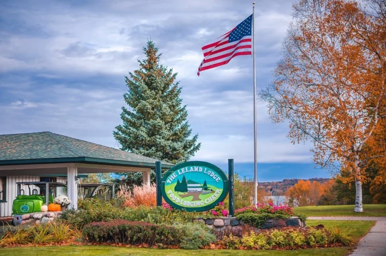 Instagram post from upnorthneedlepoint. This post is in position 1.