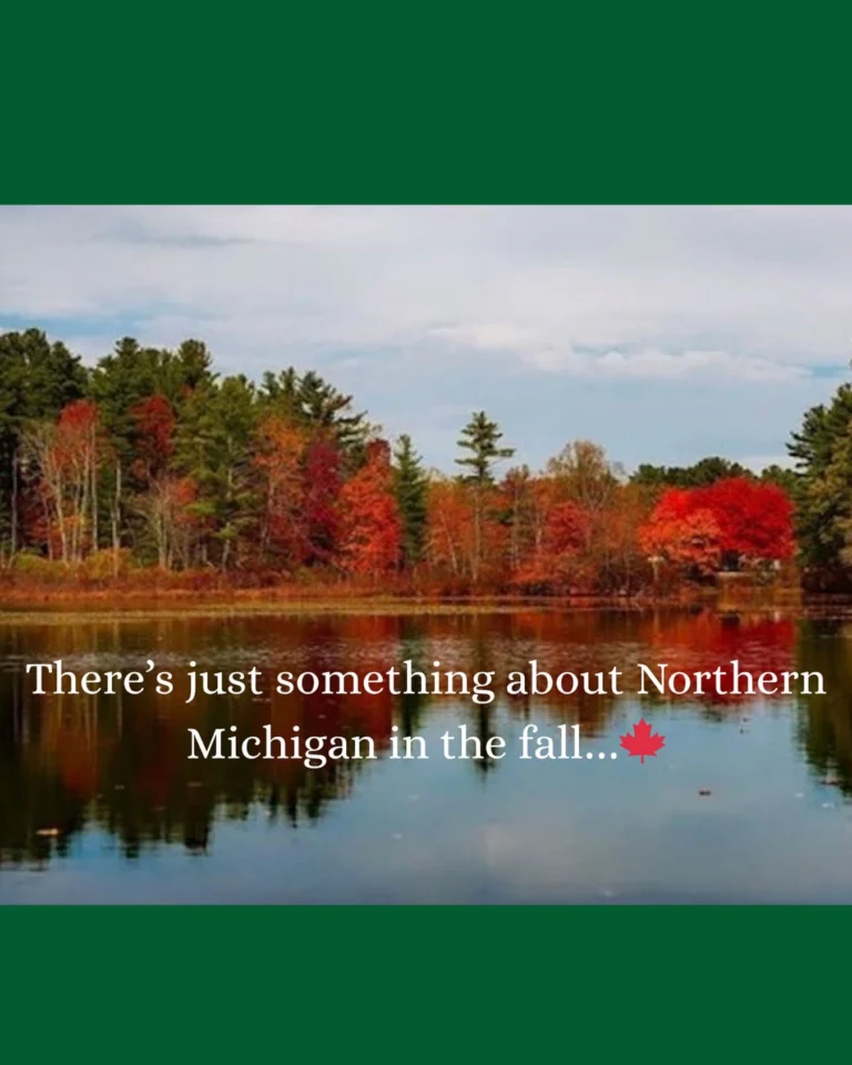 Instagram post from upnorthneedlepoint. This post is in position 3.